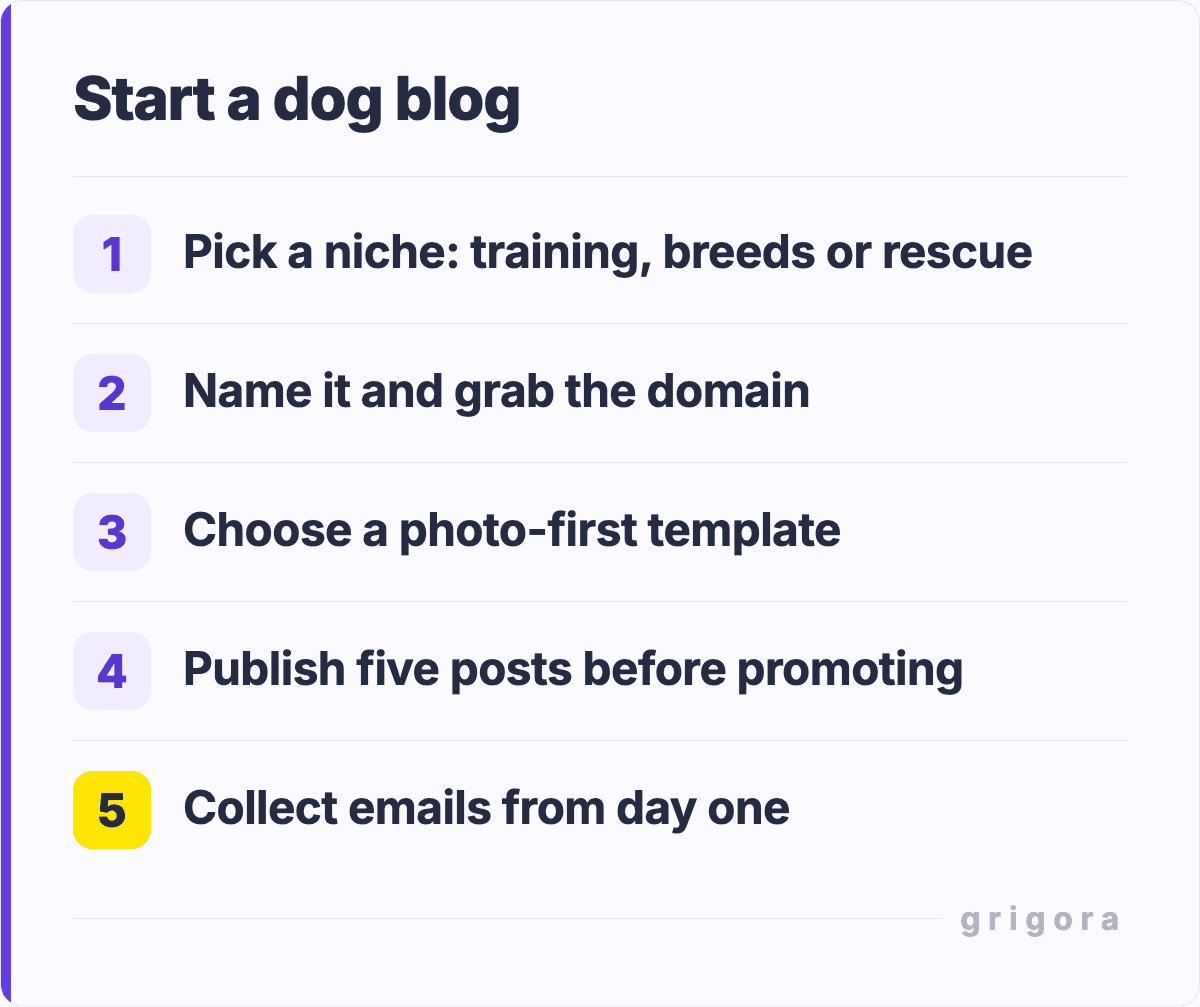 Start a dog blog: Pick a niche: training, breeds or rescue; Name it and grab the domain; Choose a photo-first template; Publish five posts before promoting; Collect emails from day one