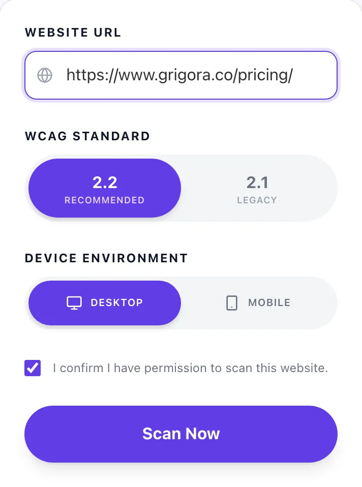 Accessibility Checker with input filled in