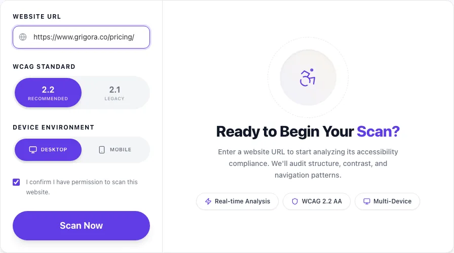 Accessibility Checker with input filled in