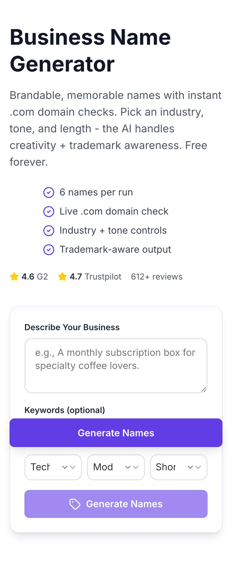 Empty Business Name Generator before any input
