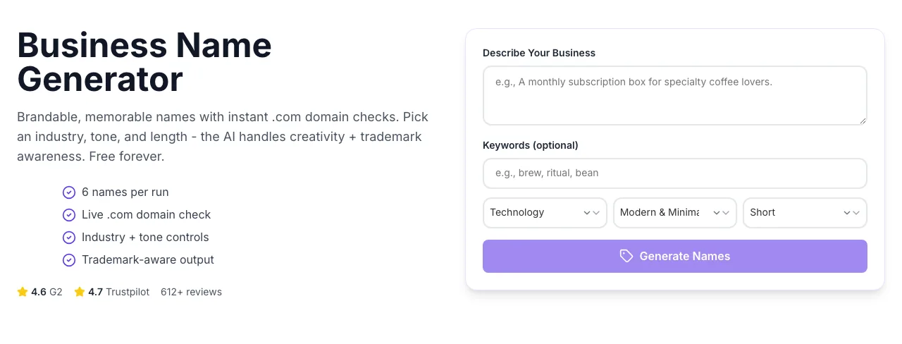 Empty Business Name Generator before any input