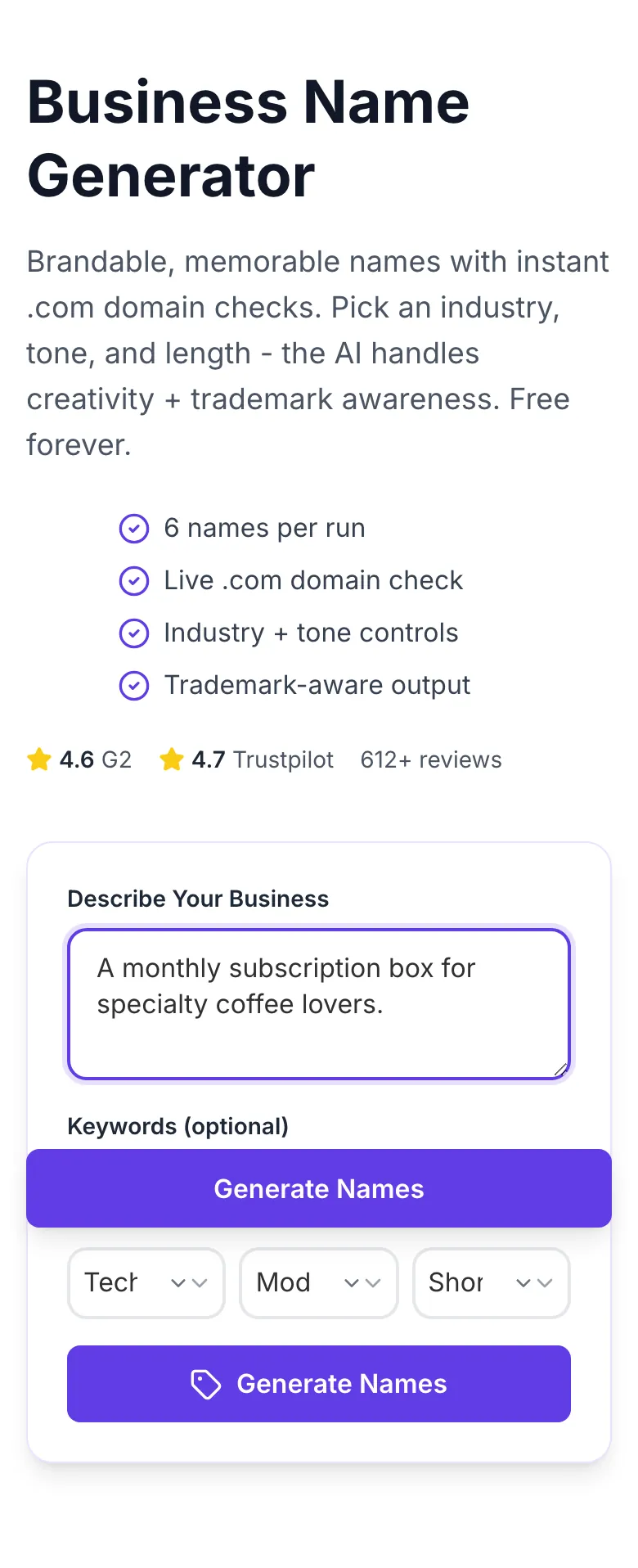 Business Name Generator with input filled in