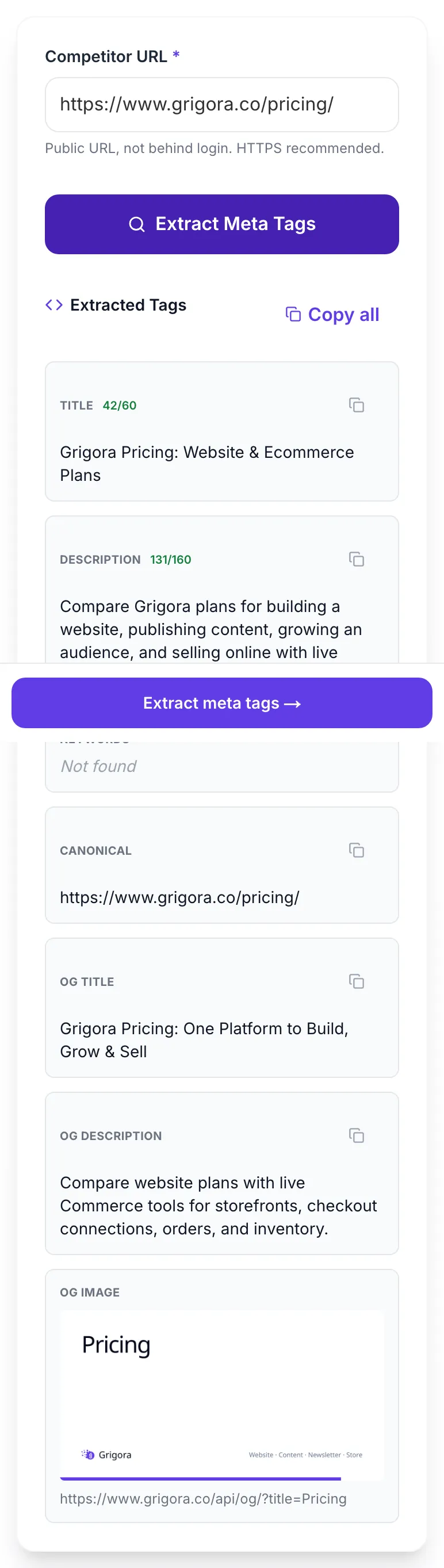 Competitor Meta Extractor showing its result