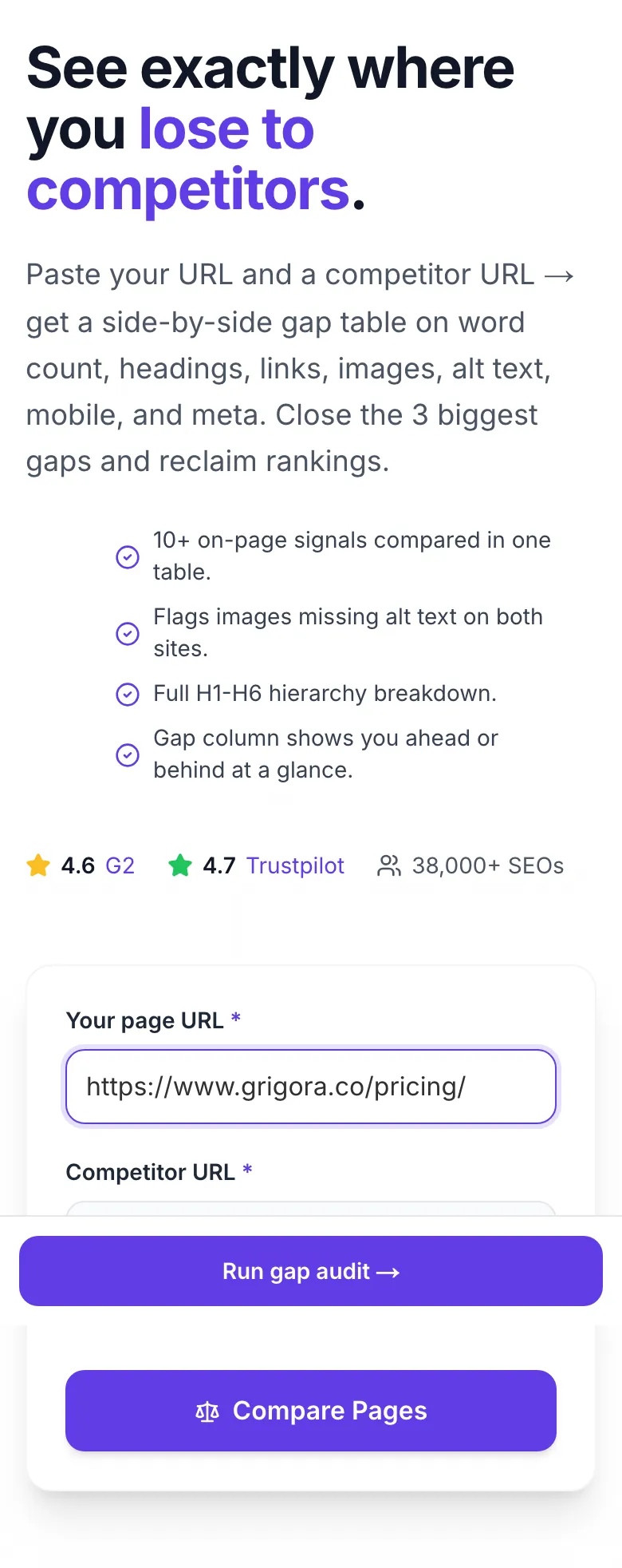 Competitor Page Analyzer with input filled in