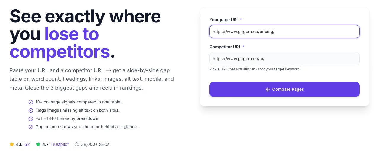 Competitor Page Analyzer with input filled in