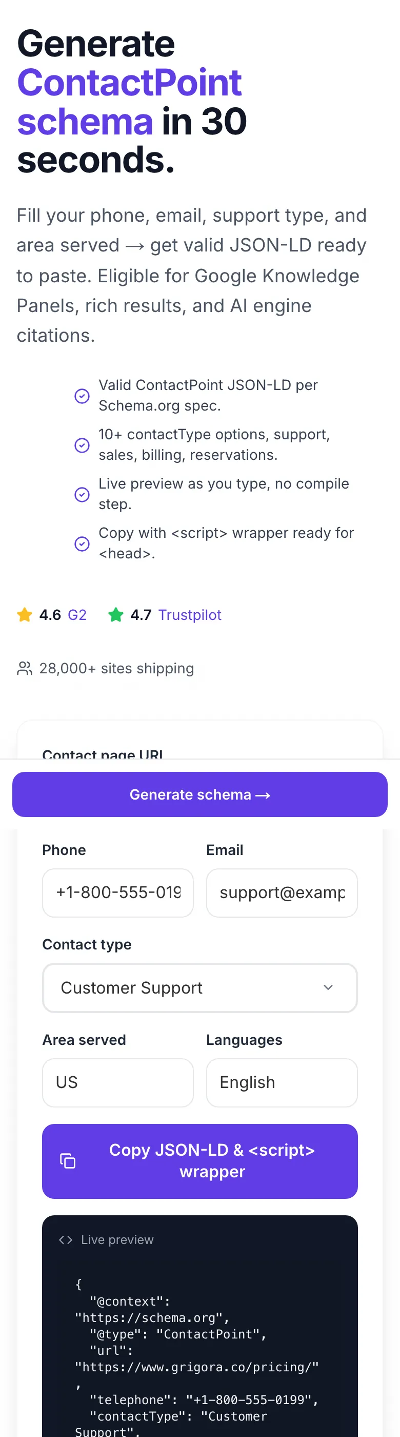 Contact Schema Generator with input filled in