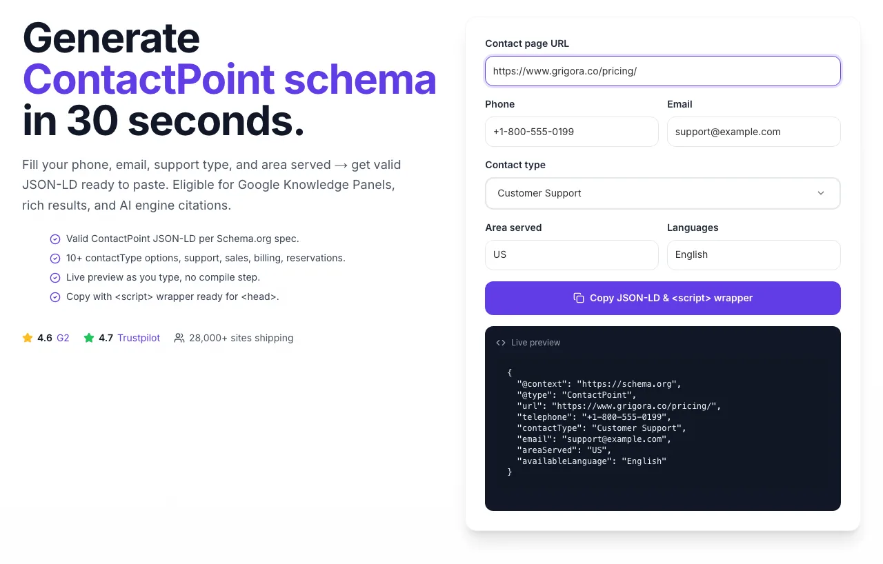 Contact Schema Generator with input filled in
