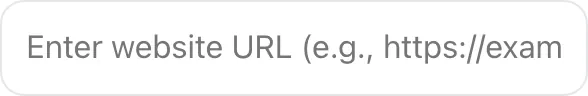 Empty Duplicate Meta Tag Checker before any input