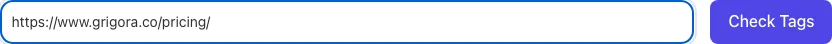 Duplicate Meta Tag Checker with input filled in