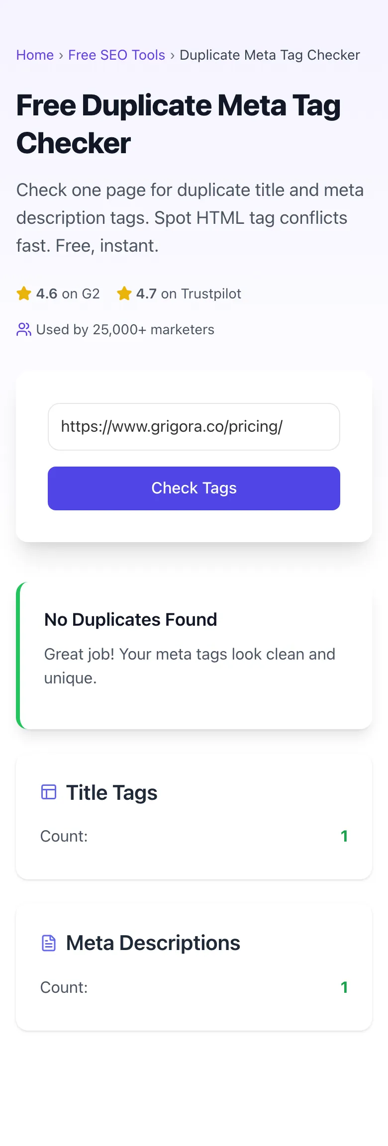 Duplicate Meta Tag Checker showing its result