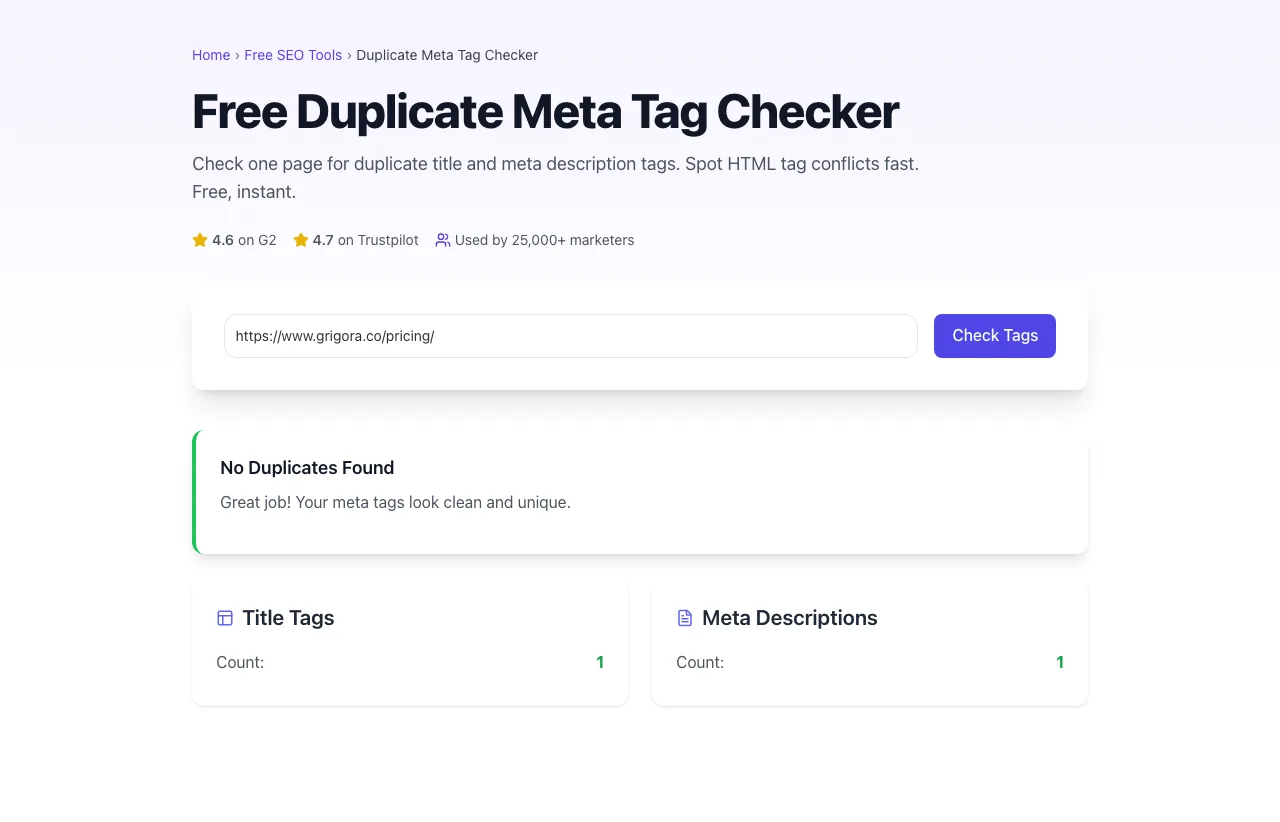 Duplicate Meta Tag Checker showing its result