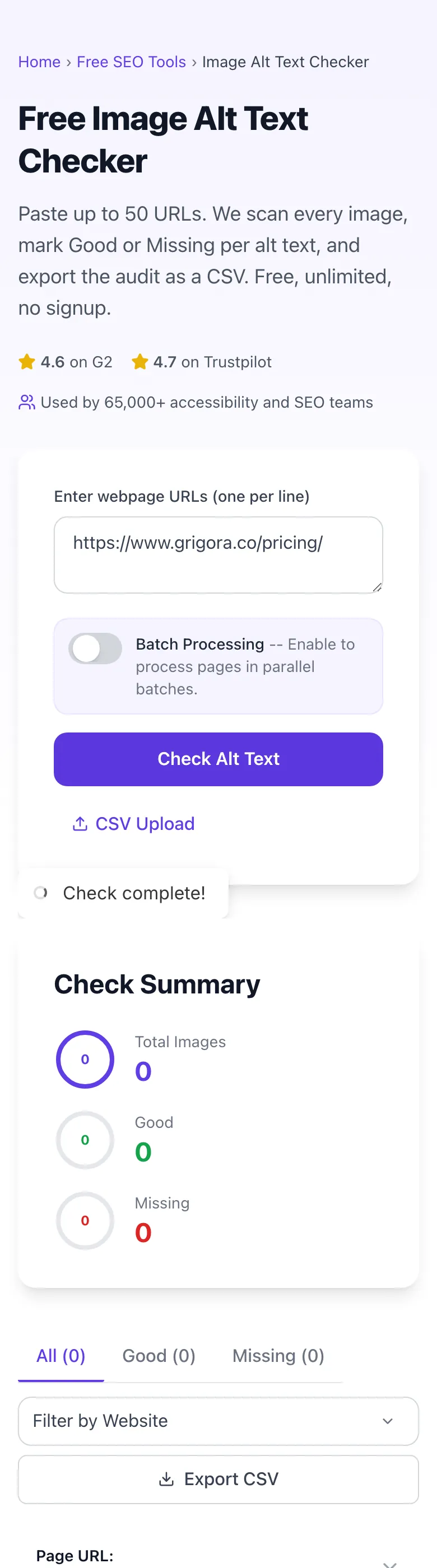 Image Alt Text Checker showing its result