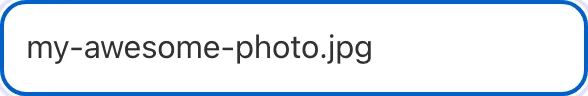 Image Filename SEO Checker with input filled in