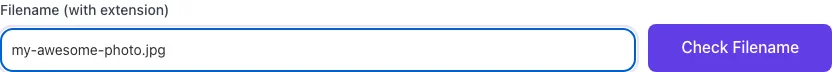 Image Filename SEO Checker with input filled in