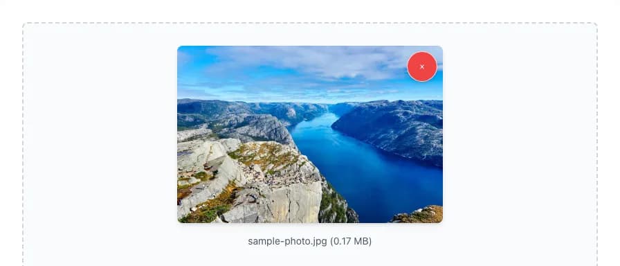 Image Size Compressor with input filled in
