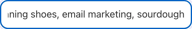 Long Tail Keyword Generator with input filled in