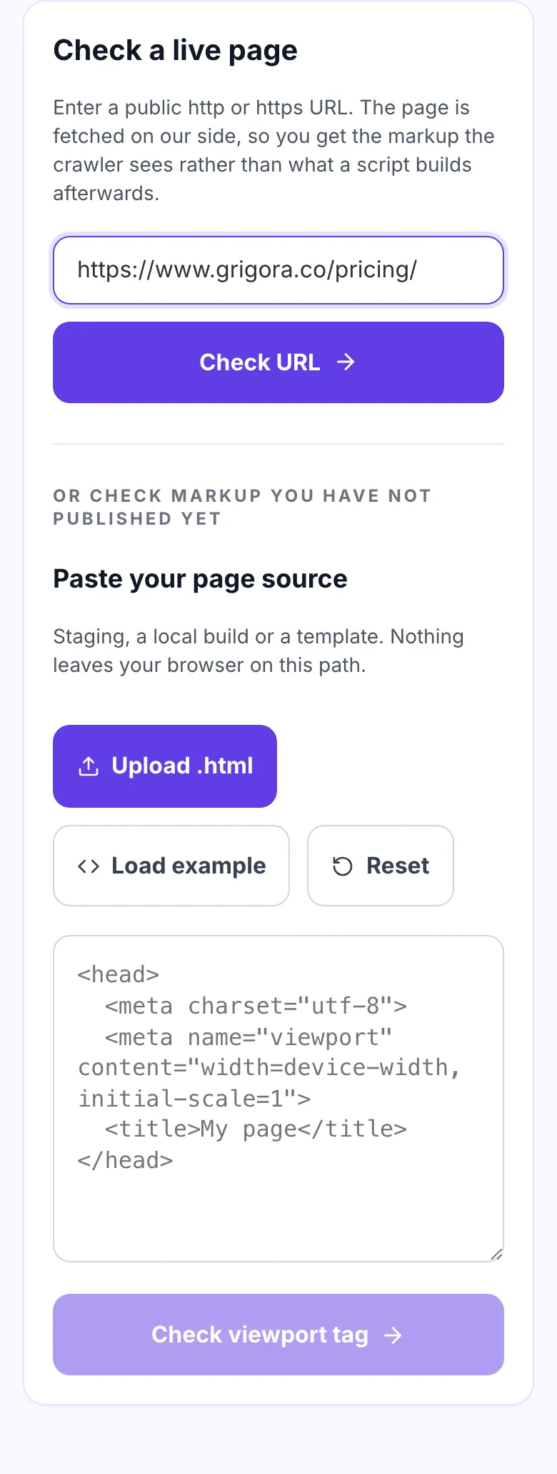 Meta viewport checker with a page URL entered and ready to run