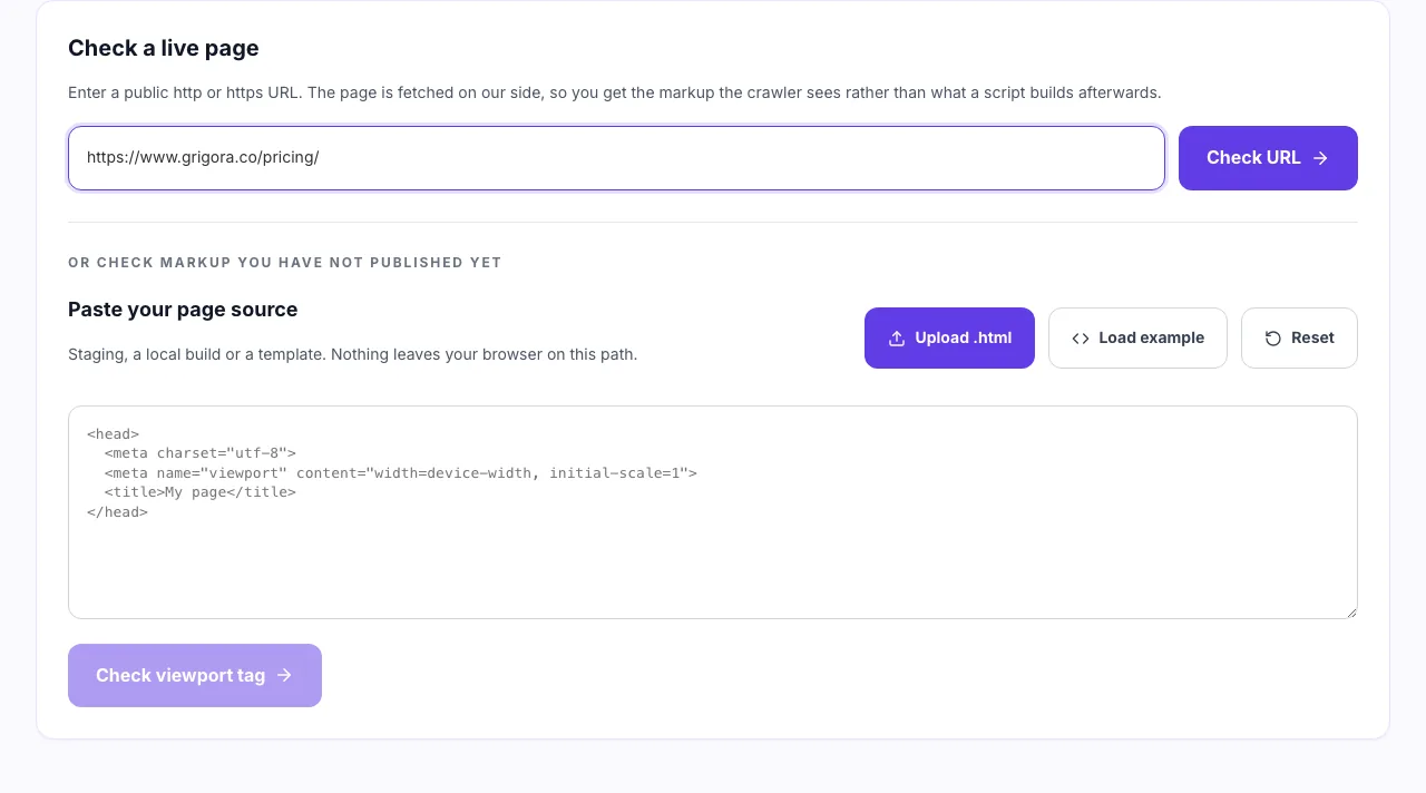 Meta viewport checker with a page URL entered and ready to run