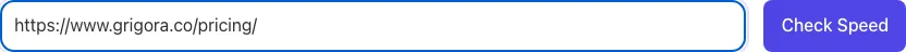 Page Performance Checker Lite with input filled in