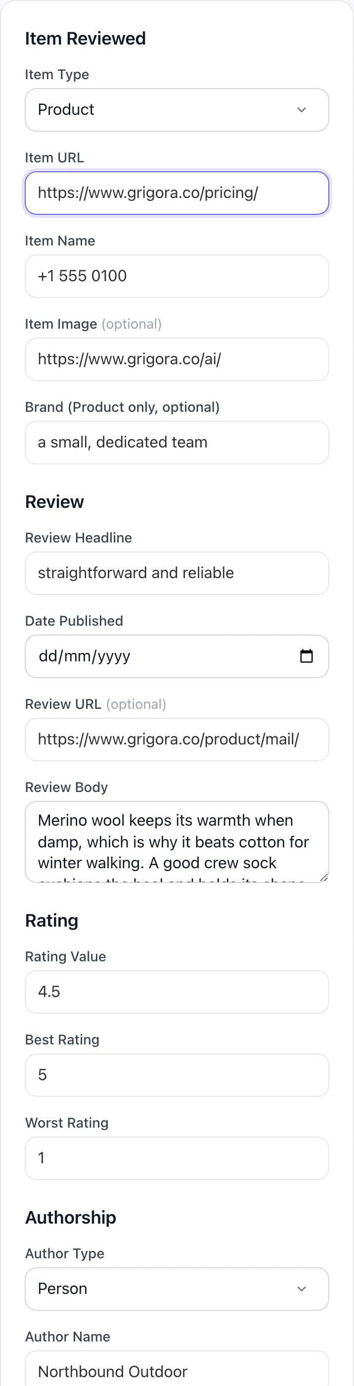 Review Schema Generator with input filled in