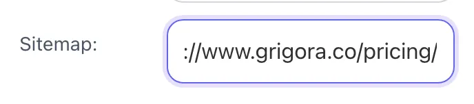 Robots txt Generator showing its result