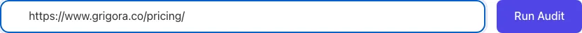 SEO Audit Mini Tool with input filled in