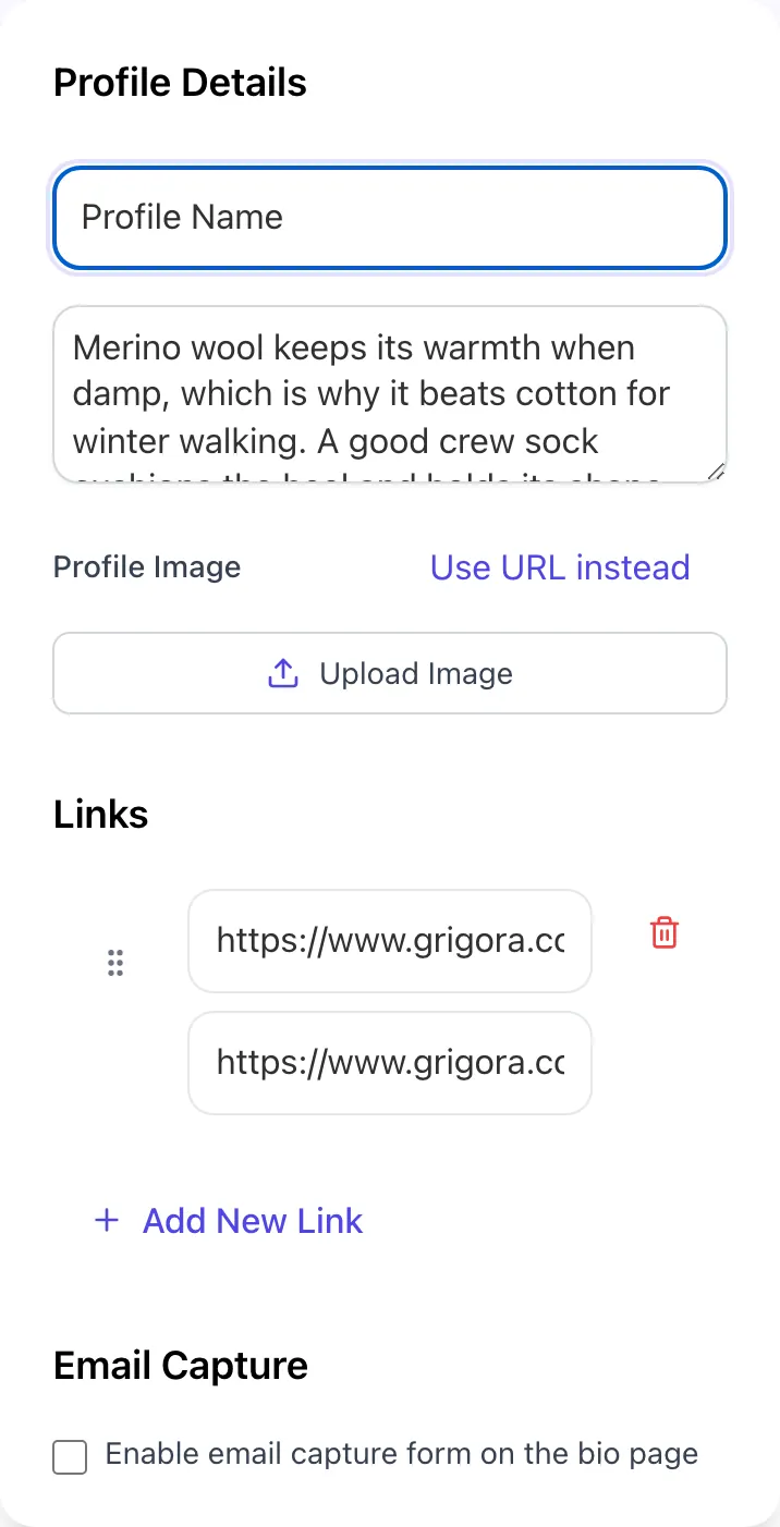 Social Bio Link Generator with input filled in
