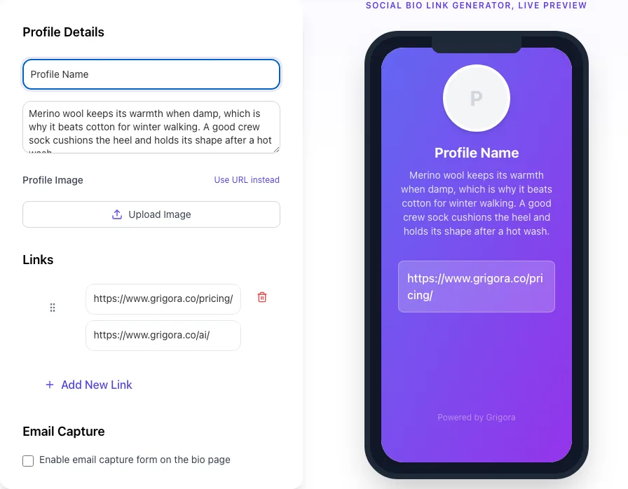 Social Bio Link Generator with input filled in