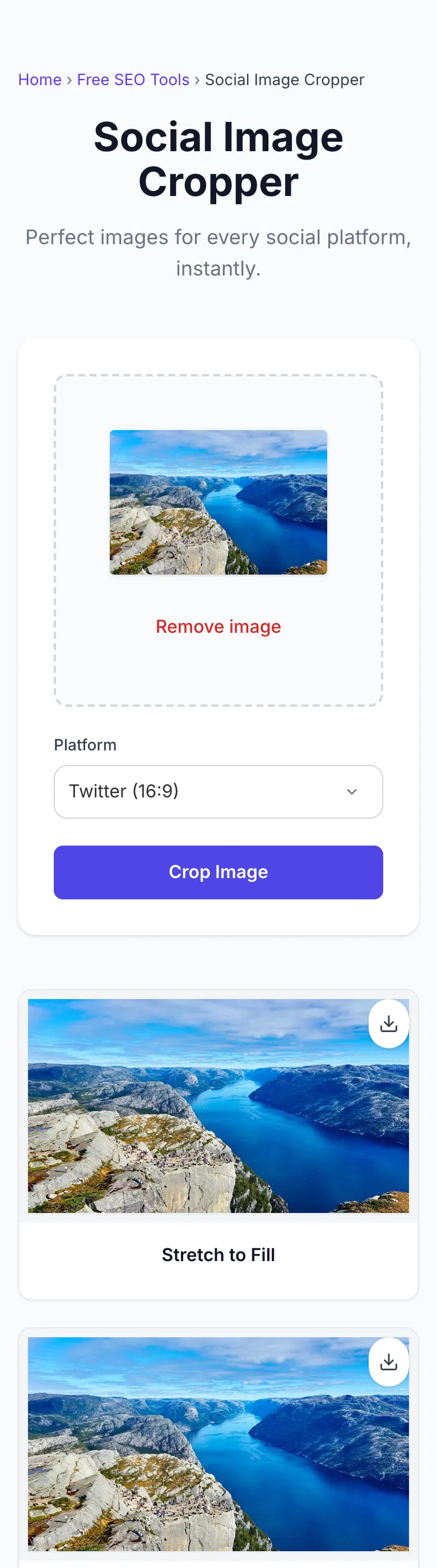 Social Image Cropper showing its result