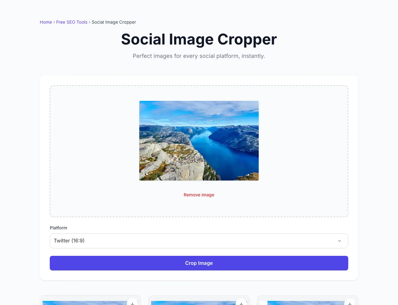 Social Image Cropper showing its result