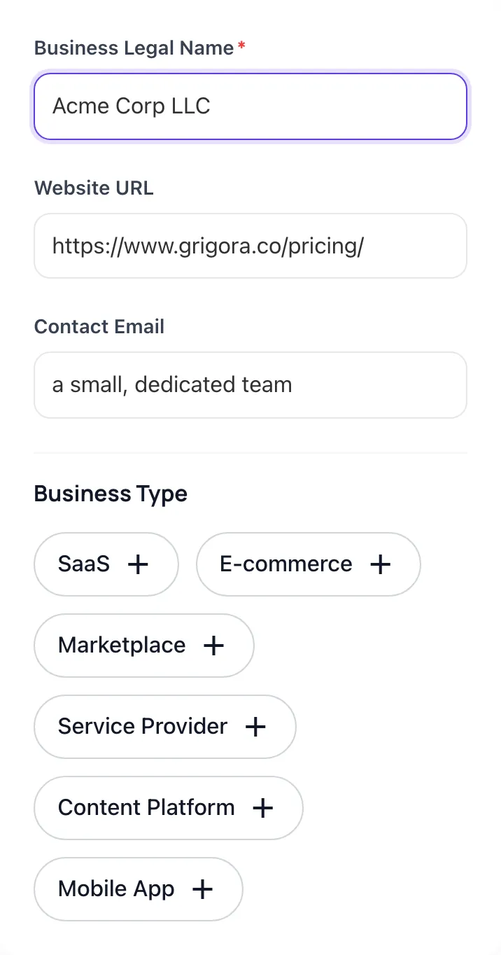 Terms And Conditions Generator with input filled in