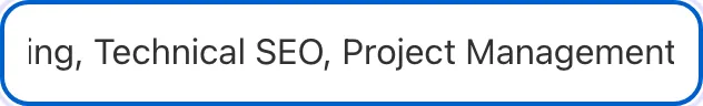 Topic Cluster Maker with input filled in