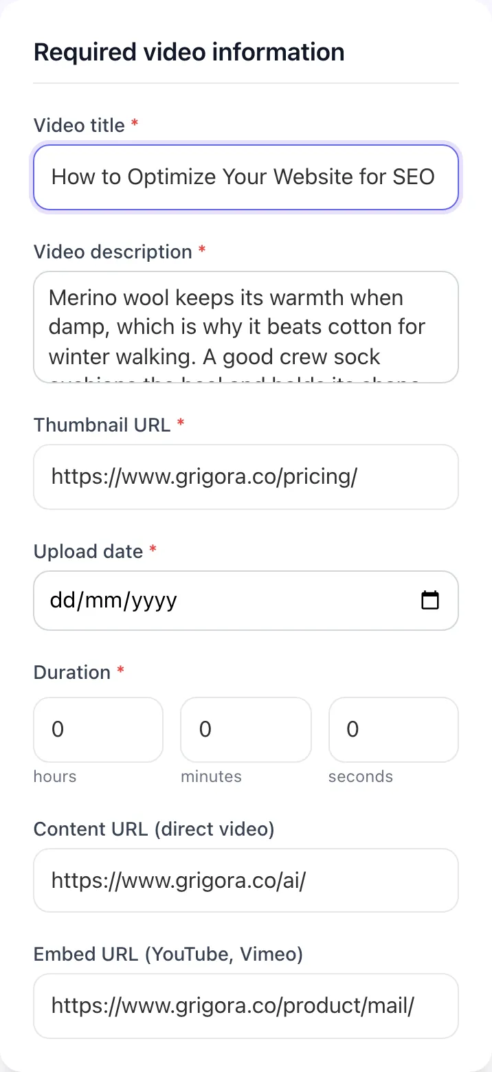 Video Schema Generator with input filled in
