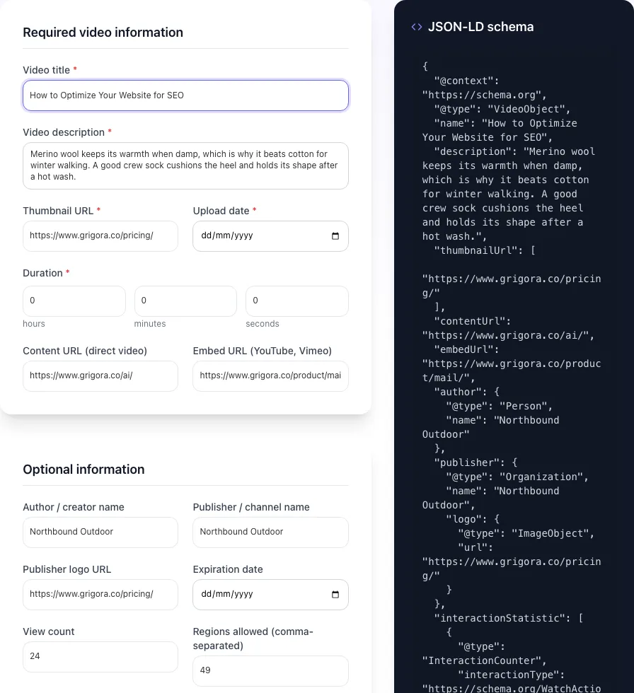 Video Schema Generator with input filled in