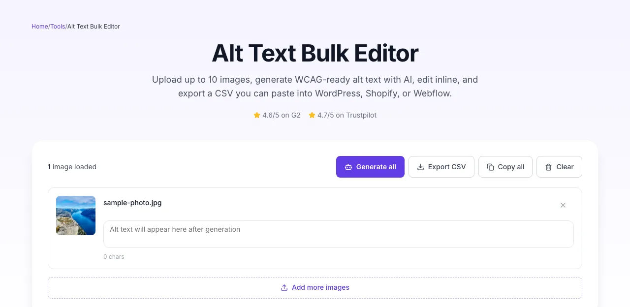 Alt Text Bulk Editor with input filled in