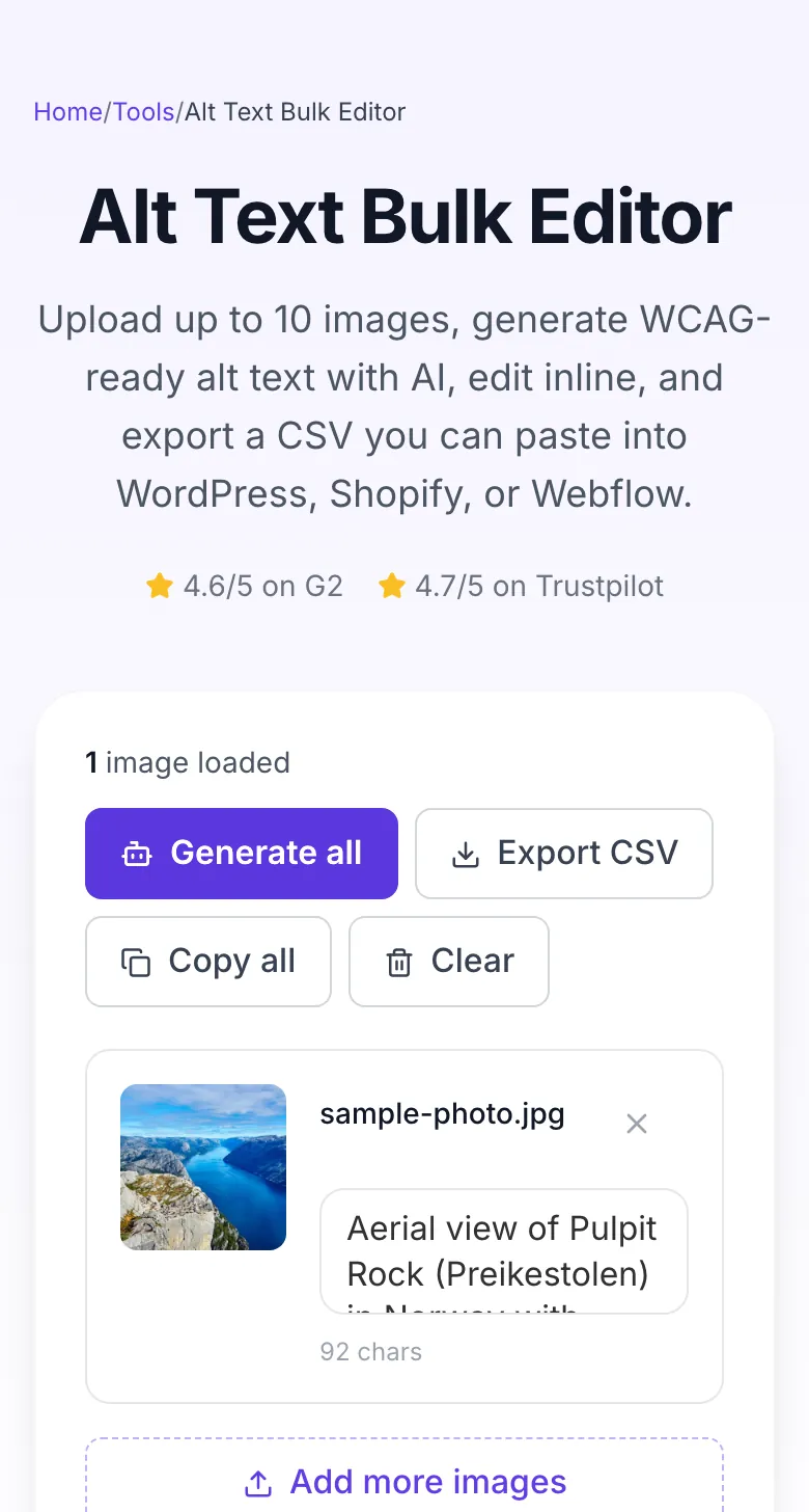 Alt Text Bulk Editor showing its result