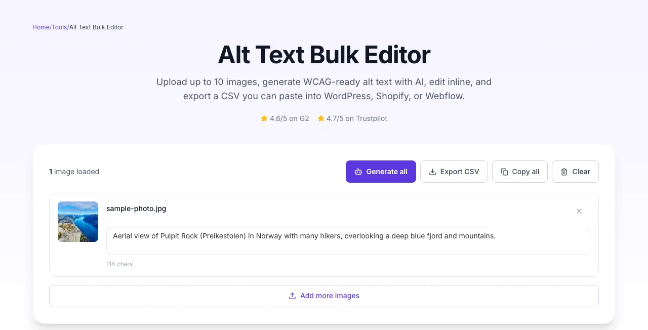 Alt Text Bulk Editor showing its result