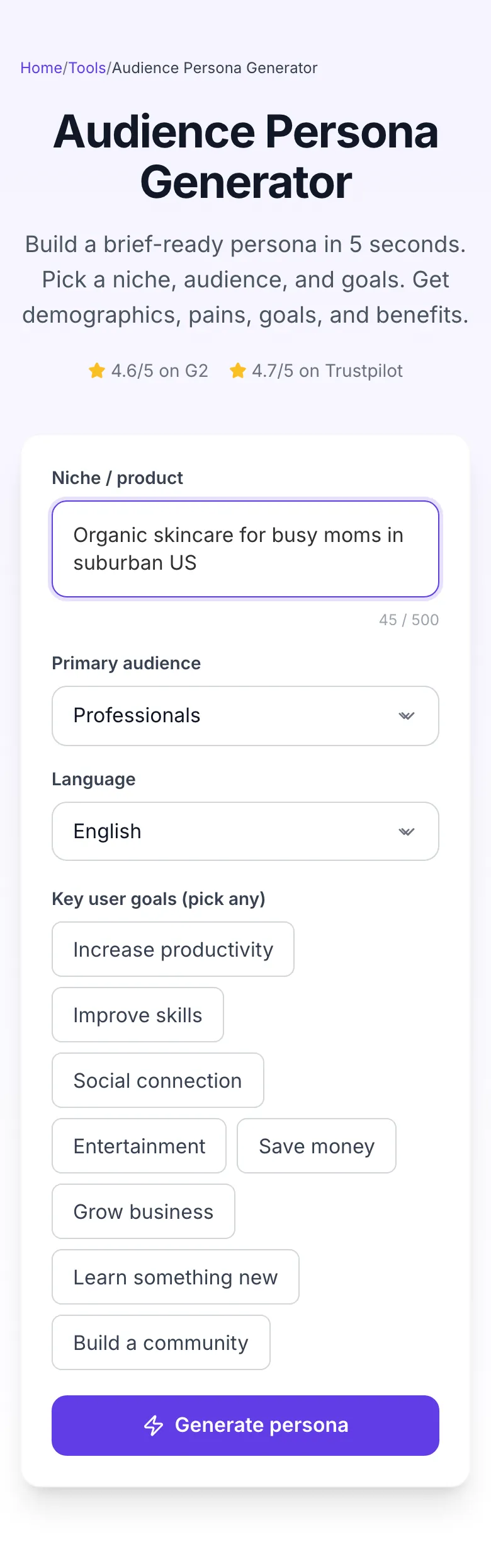 Audience Persona Generator with input filled in