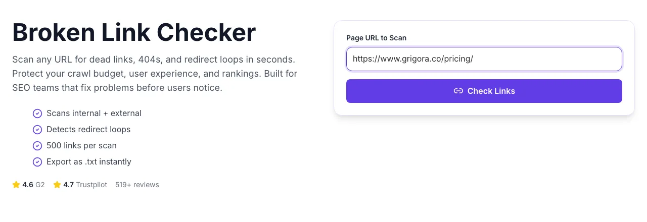 Broken Link Checker with input filled in