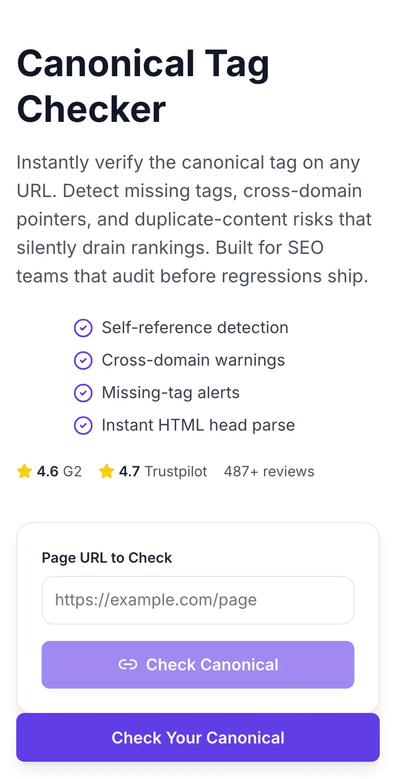 Empty Canonical Checker before any input
