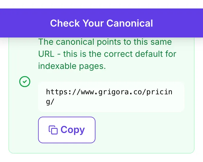 Canonical Checker showing its result