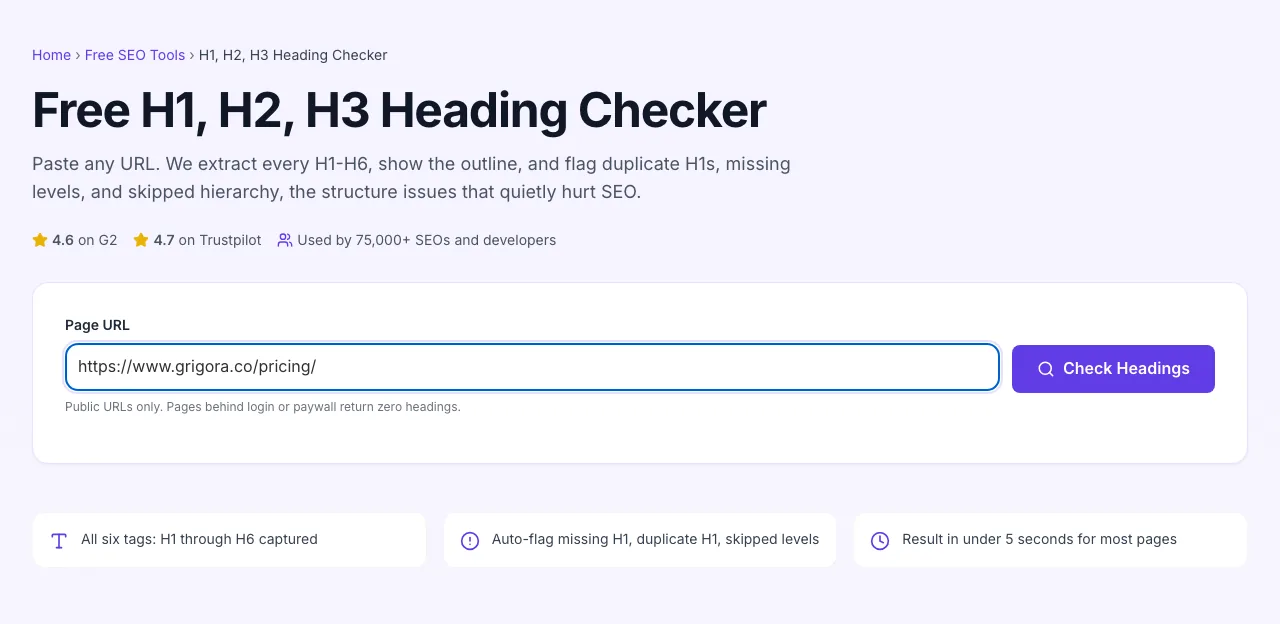 H1 H2 H3 Heading Checker with input filled in