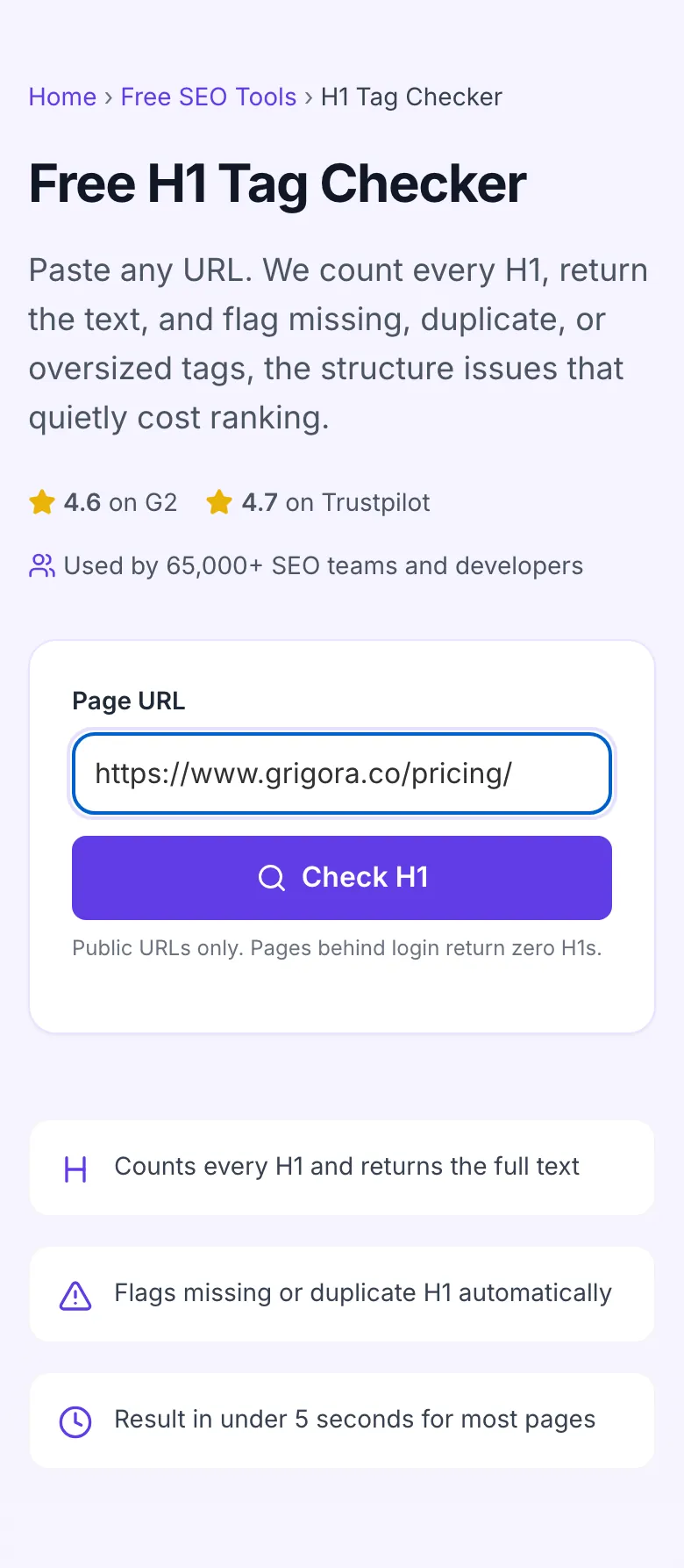 H1 Tag Checker with input filled in