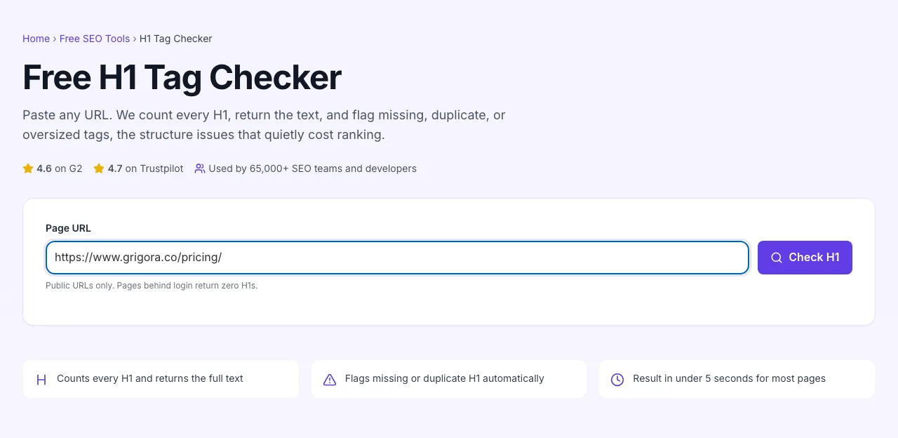 H1 Tag Checker with input filled in