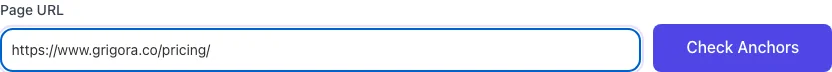 Internal Anchor Text Checker with input filled in