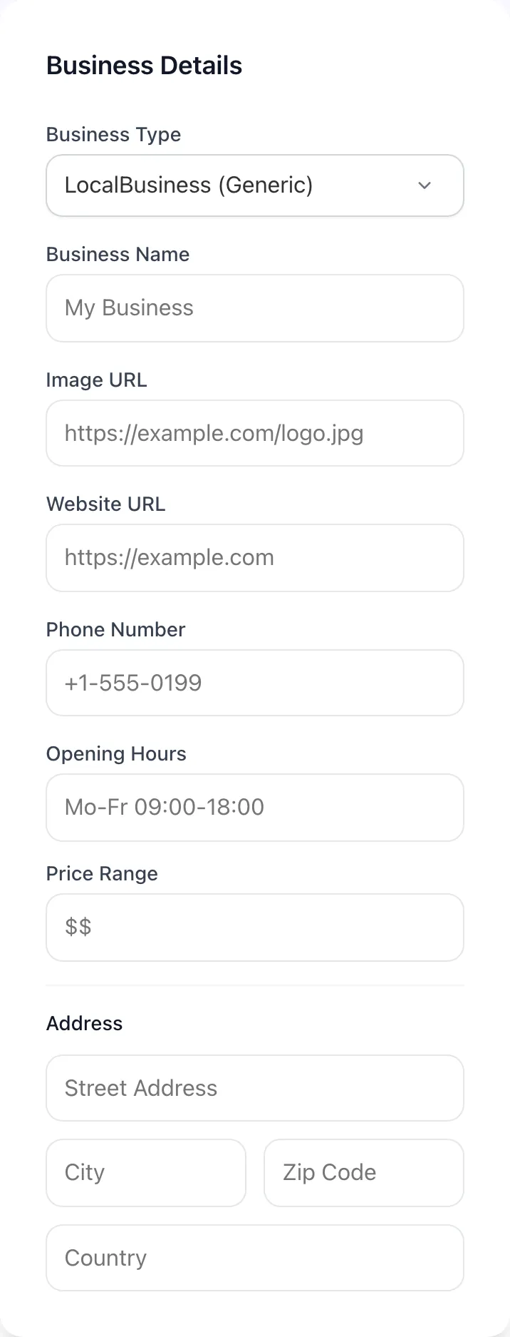 Empty Local Business Schema Generator before any input