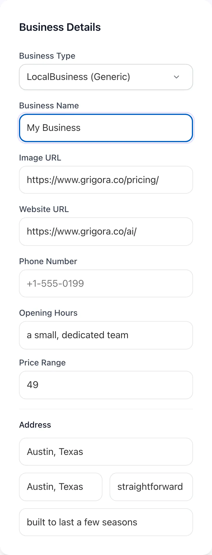 Local Business Schema Generator with input filled in