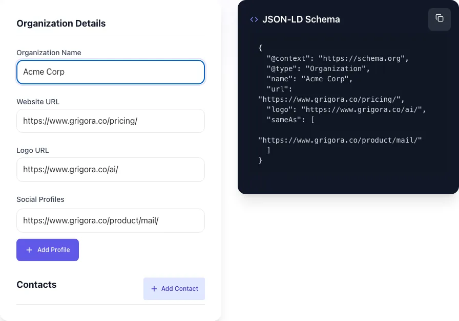 Organization Schema Generator with input filled in