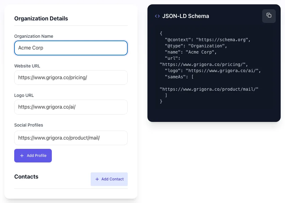 Organization Schema Generator showing its result