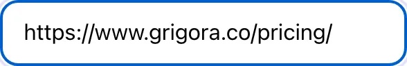 Social Snippet Checker with input filled in